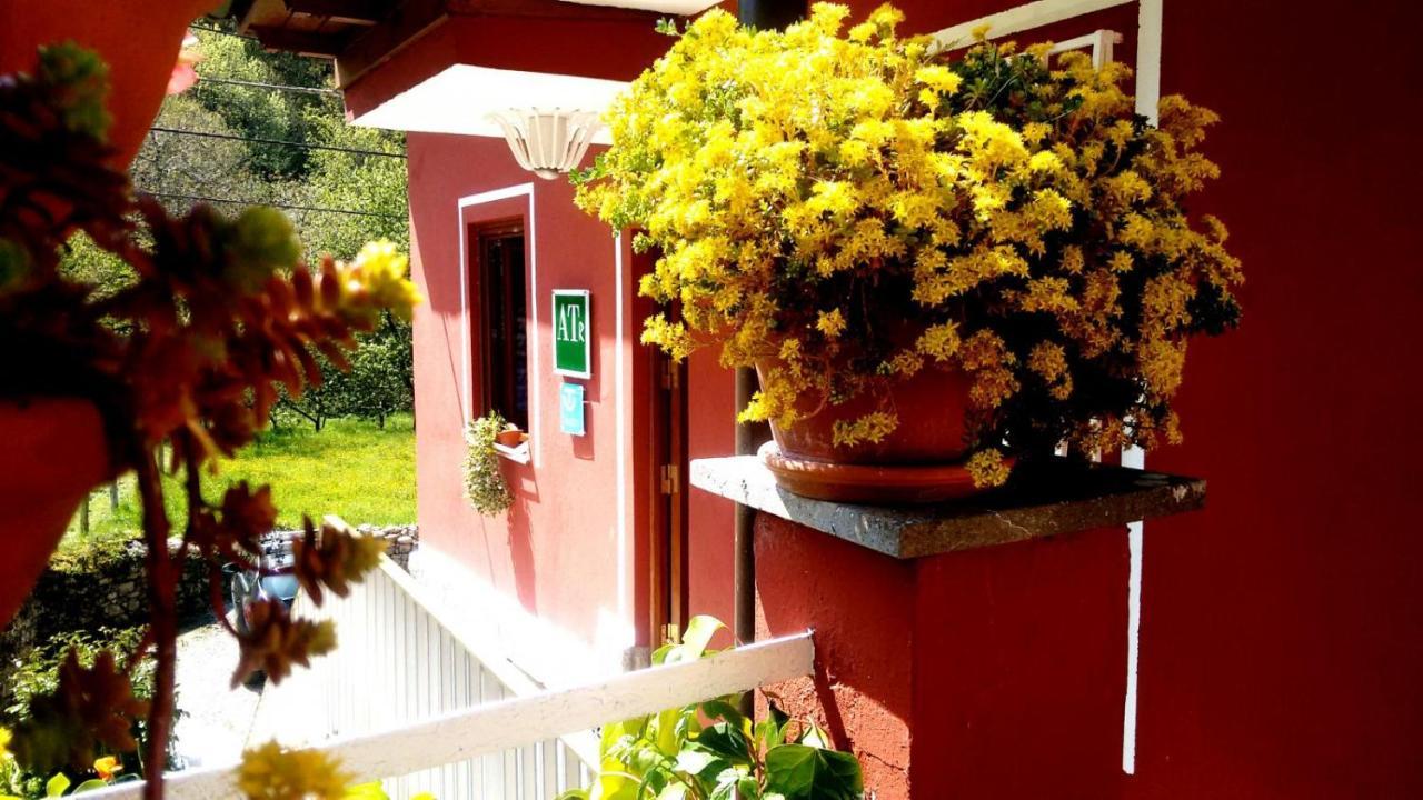 Apartamentos Huerta Carua I Y II Piloña エクステリア 写真